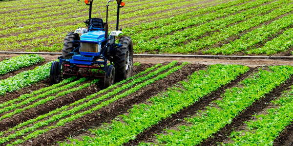 Semios Helps Growers Find a Safer Alternative to Harmful Pesticides -  Industrial IoT Case Study