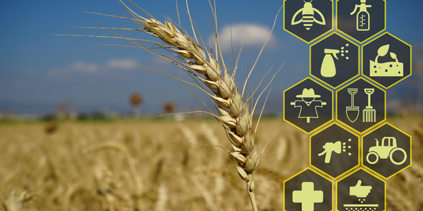 Smart Agriculture Project Ensures Crops Health and Reduces Losses - Libelium Industrial IoT Case Study