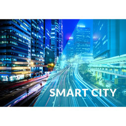 Smart City Public Safety