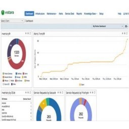 Enterprise Grade Networks for Vistara