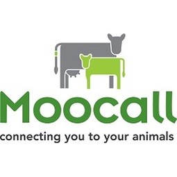 Connecting Cows to Save the Lives of Calves with MooCall