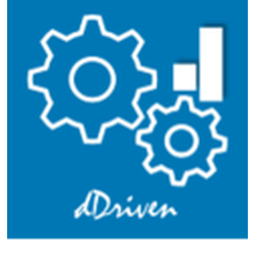 dDriven Solutions  Logo