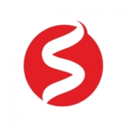 Intellistride Technologies Logo