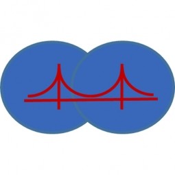 Intelligent Structures Logo