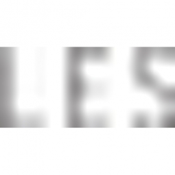 L.E.S.S. Logo