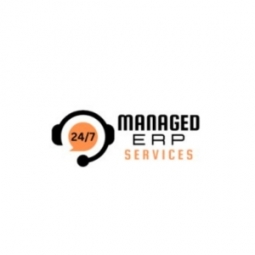 Managed ERP Services Logo