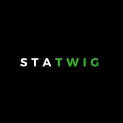 Statwig Logo